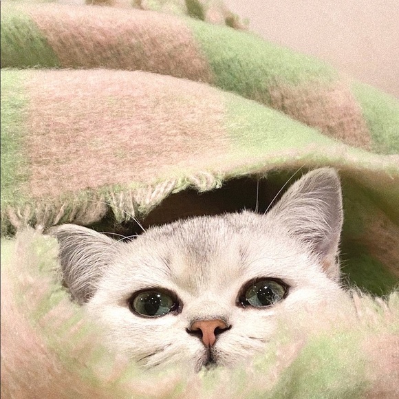 Urban outfitters checkered scarf - Picture 2 of 6